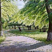 Лето в парке