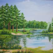 На лесном озере