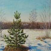 "Молодая сосна"