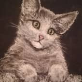 Любопытный.