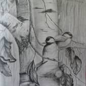 Птицы-синицы