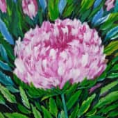 Розовая хризантема