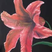 Красная лилия