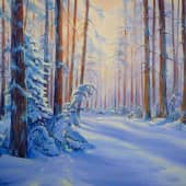 Утро в сосновом лесу