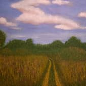 Заливные  луга