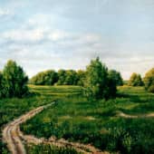 Среди полей.Июнь  Among the Fields. Juny