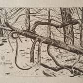 Дерево упавшее, 2005