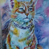 Рыжая красавица.