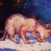 Млечный кот