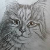 Вот такой котик.