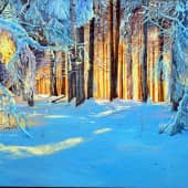 Зимняя сказка