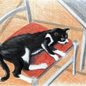 Кот-киприот. Скетч.