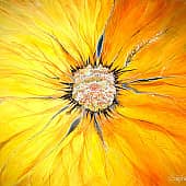 Солнечная роза