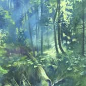 Троицко-Печорск.в лесу