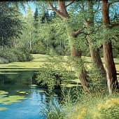 Заросший пруд