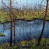 Тишина, мой вечный спутник  The Silence, My Eternal Companion