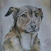 Не обижай меня, человек!