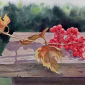 Ветка калины (по уроку Е.Базановой)