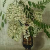 Ветка акации.