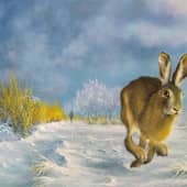 А ветерок морозный свежий,,,,