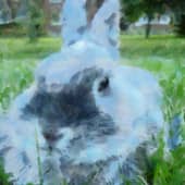 НОВЫЙ 2023 ГОД КРОЛИКА