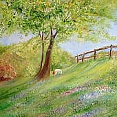 Солнечный полдень