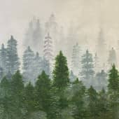 Лес в тумане