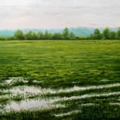 Мокрое утро  Wet Morning