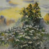 Цветочная поляна.