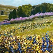 Моё  восемьдесят пятое лето.