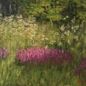 Цветущая поляна.