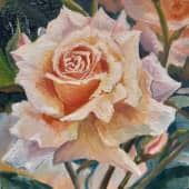 Королева сада