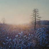 "Первые заморозки"