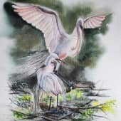 Цапли на закате