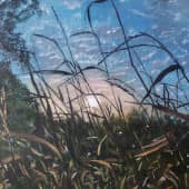 "На вечёрке"