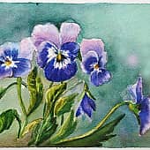 Анютины глазки