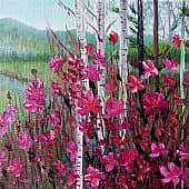 Багульник болотный