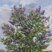 Куст сирени. Пленэр. Художник ZhNataly