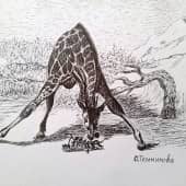 Дотянуться бы