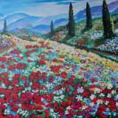 Ромашки на маковом поле