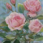 Розовые розы