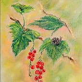 Улитка в смородине