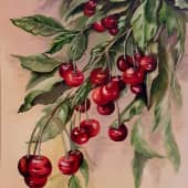 спелая вишня