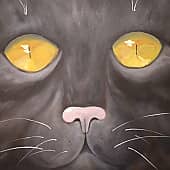 Усатая морда