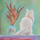 Котик на окошке