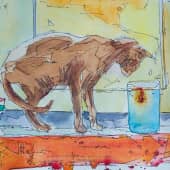 Кот на окне