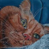 Тоша задумался