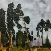 Россия. Дядьково.