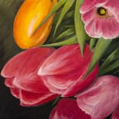 Тюльпаны