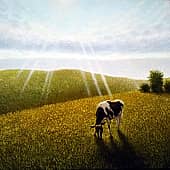 Хороший день